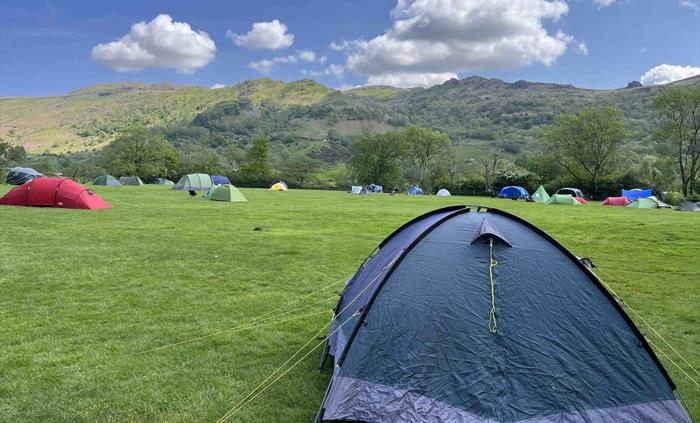 Grass tent pitches